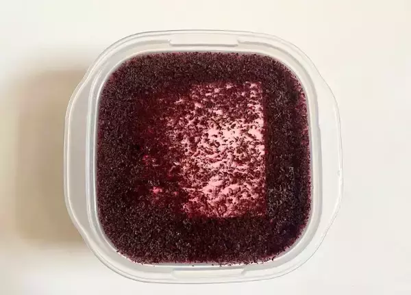「豆腐を丸ごと“紫の調味液”に漬けたら？　まさかのビジュアルに【簡単レシピ】」の画像