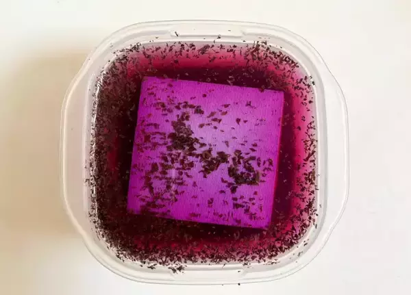 「豆腐を丸ごと“紫の調味液”に漬けたら？　まさかのビジュアルに【簡単レシピ】」の画像
