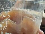 「アイスコーヒーの悩みを解決？　『コーヒー氷』を使ったカフェの工夫が話題」の画像1