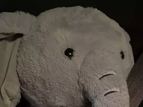 リサイクルショップで見つけたぬいぐるみを…　使い道に「仲間がいた」「なんてかわいいの」