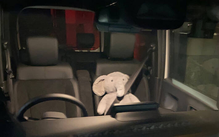 リサイクルショップで見つけたぬいぐるみを…　使い道に「仲間がいた」「なんてかわいいの」