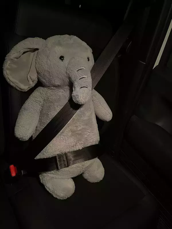 「リサイクルショップで見つけたぬいぐるみを…　使い道に「仲間がいた」「なんてかわいいの」」の画像