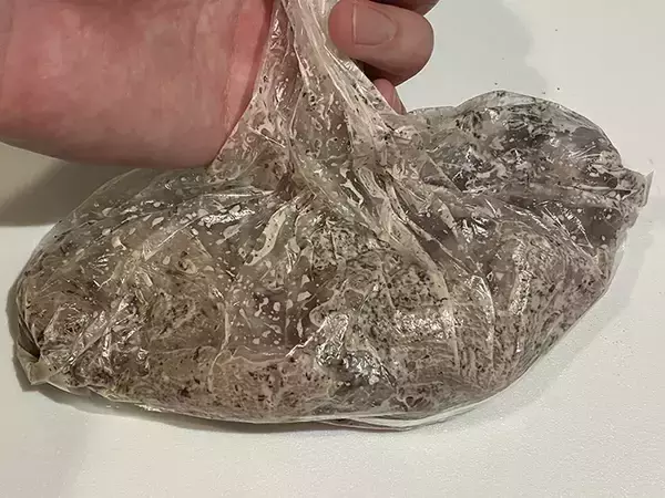 「むね肉と『ゆかり』を袋に入れて…？　短時間で作れる簡単おかずに「リピ確」」の画像