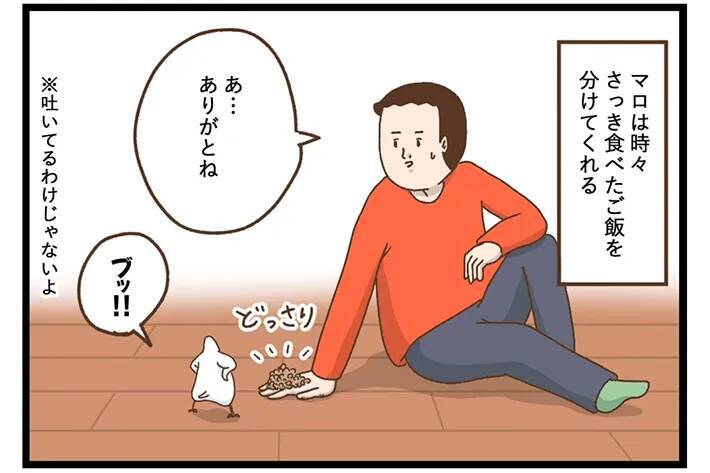 愛情を伝えてくれるペット　飼い主が困惑した理由が？「思わず吹いた」「気持ちは嬉しい」