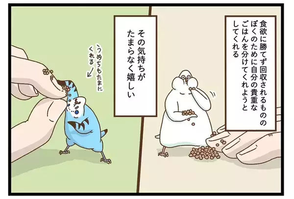 「愛情を伝えてくれるペット　飼い主が困惑した理由が？「思わず吹いた」「気持ちは嬉しい」」の画像