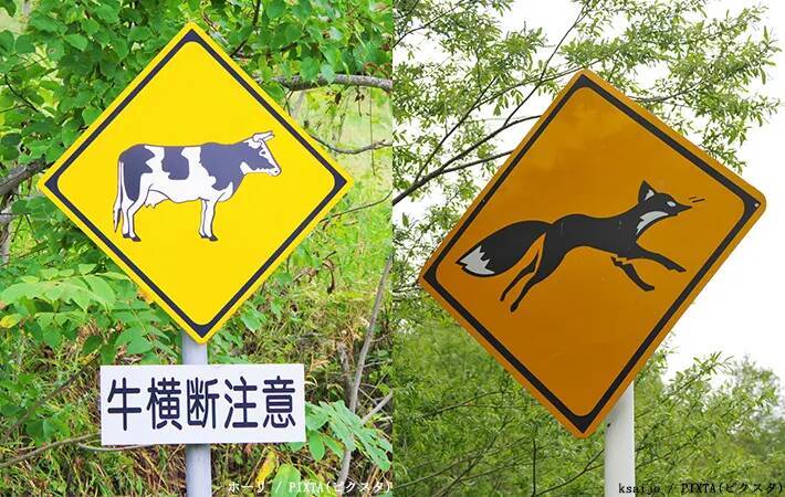 ほかの地域では見られない？　北海道にあるレアな『動物注意』の標識、もっとも数が多いのは…