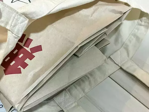「余ったエコバッグを有効活用！　家中の『収納』で役立つ便利な方法【3選】」の画像