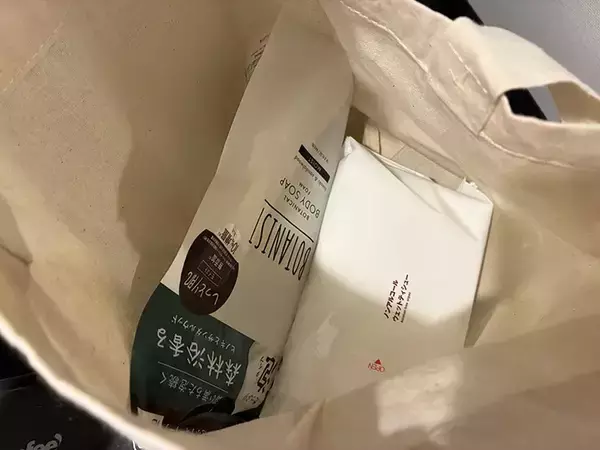 「余ったエコバッグを有効活用！　家中の『収納』で役立つ便利な方法【3選】」の画像