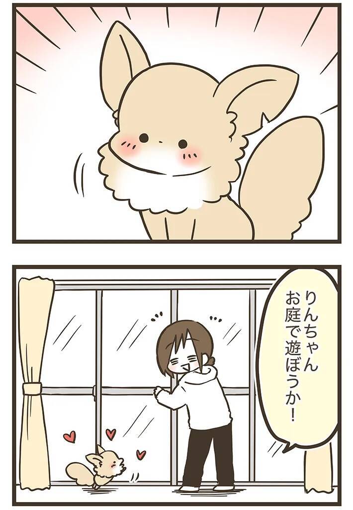 窓を開けたら…！自由奔放なチワワの『かわいすぎる遊び』に癒される【エッセイ漫画】