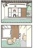「窓を開けたら…！自由奔放なチワワの『かわいすぎる遊び』に癒される【エッセイ漫画】」の画像5