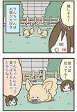 「窓を開けたら…！自由奔放なチワワの『かわいすぎる遊び』に癒される【エッセイ漫画】」の画像6