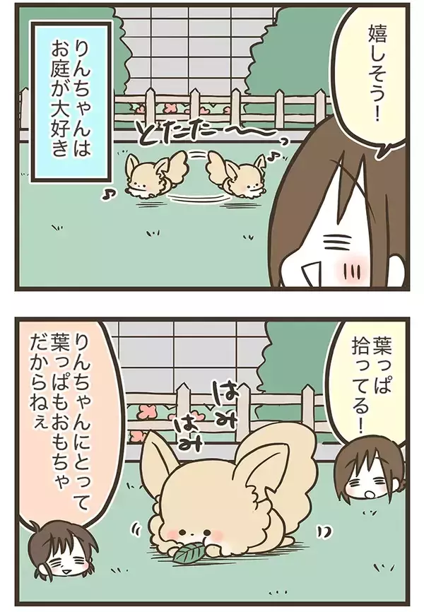 「窓を開けたら…！自由奔放なチワワの『かわいすぎる遊び』に癒される【エッセイ漫画】」の画像