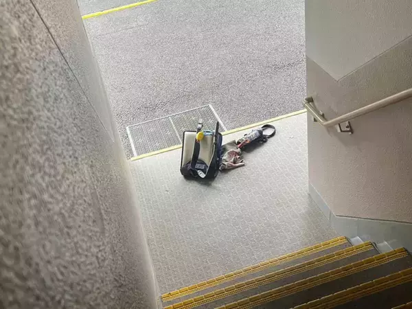 「ゾッとするわ」　小学校から帰ってこない息子、父親が外に出ると…？