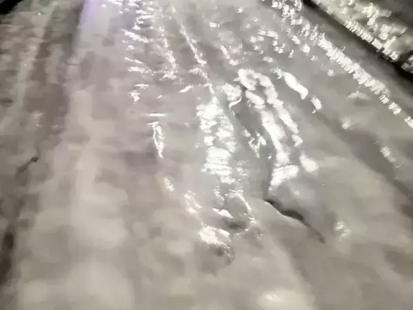 「家まであと少しなのに」　クリスマスケーキを持ち帰る途中、絶望した理由が？