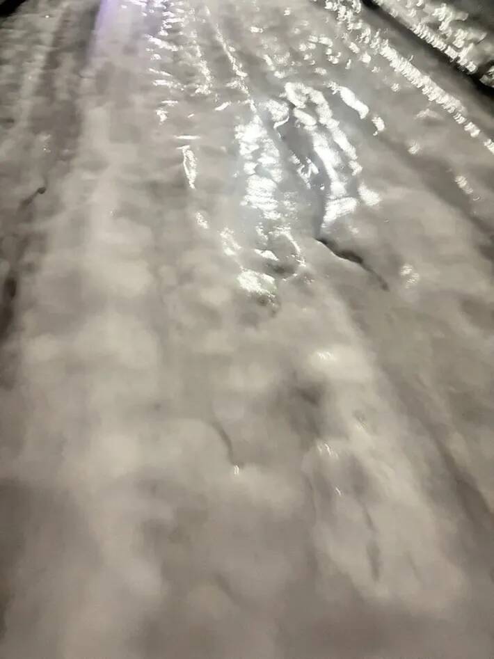 「家まであと少しなのに」　クリスマスケーキを持ち帰る途中、絶望した理由が？