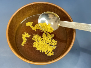 めんつゆに『小さじ1杯』入れた粉が？　キッコーマン直伝の『そうめんアレンジ』にドハマり