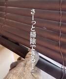 「ブラインドを軍手でなでると？　時短掃除テクに「助かる」「気持ちいい」」の画像4