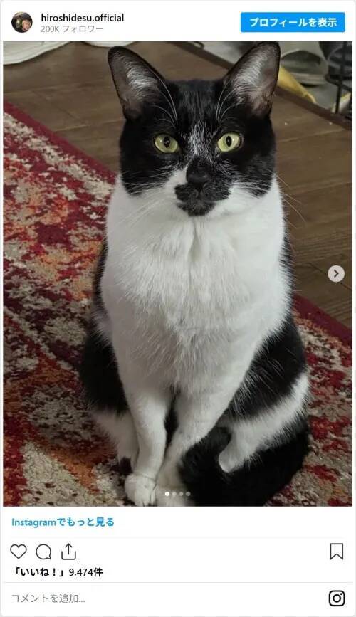 ヒロシ、トロトロの卵がたまらない親子丼を作る　しかし隣に置かれていたのが…「なんで」