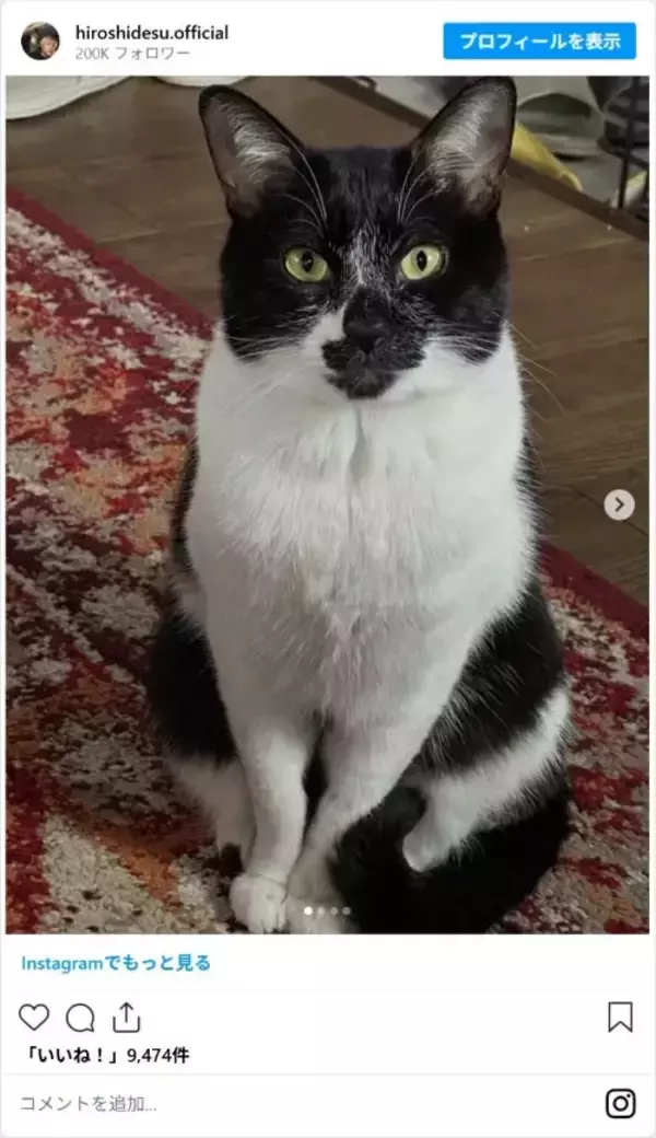 「ヒロシ、トロトロの卵がたまらない親子丼を作る　しかし隣に置かれていたのが…「なんで」」の画像