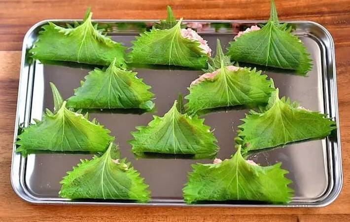 豚ひき肉を大葉で挟むだけ！　できた夏の簡単おかずに「餃子の皮いらず」「タレなしでもいい」【管理栄養士が実践】