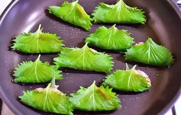 「豚ひき肉を大葉で挟むだけ！　できた夏の簡単おかずに「餃子の皮いらず」「タレなしでもいい」【管理栄養士が実践】」の画像