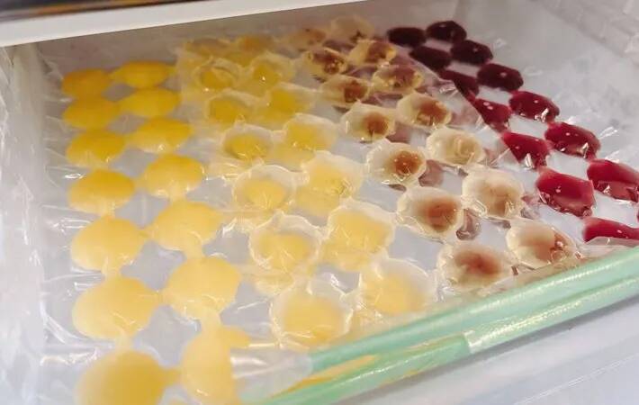 「ドリンクに入れてもおいしい！」　製氷器で凍らせたものに「子供が取り合った！」【おやつレシピ】