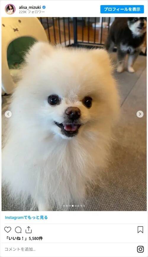 「49歳に見えない」　観月ありさ、誕生日ショットに「若すぎない？」