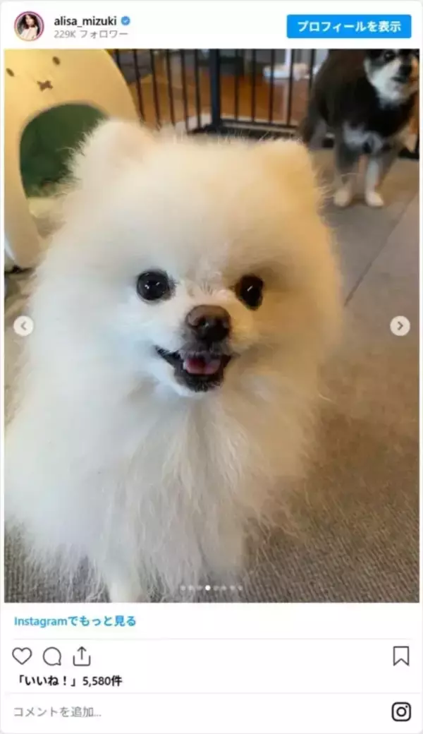 「「49歳に見えない」　観月ありさ、誕生日ショットに「若すぎない？」」の画像