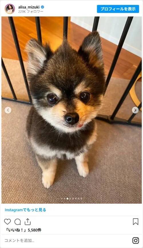 「49歳に見えない」　観月ありさ、誕生日ショットに「若すぎない？」