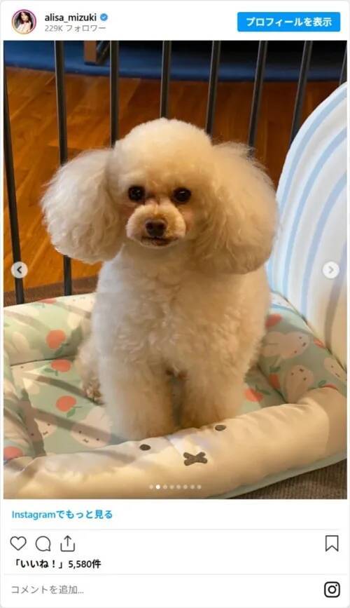 「49歳に見えない」　観月ありさ、誕生日ショットに「若すぎない？」