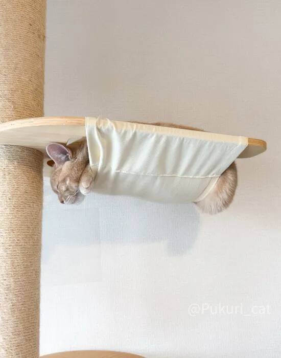 ハンモックの使い方を完全無視する猫　寝姿に「まさに布団から足を出す人間」