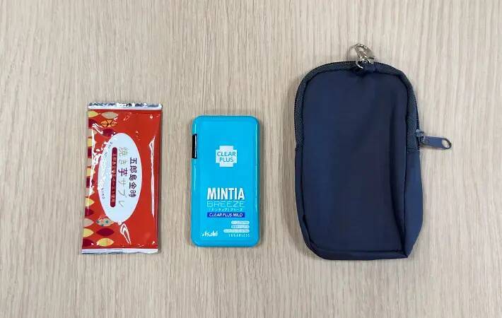 小物をバッグに入れるのはやめました　スリコのポケットティッシュ＆小物ポーチで「整理できる」「片づけやすい」
