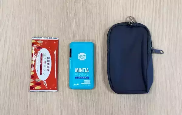 「小物をバッグに入れるのはやめました　スリコのポケットティッシュ＆小物ポーチで「整理できる」「片づけやすい」」の画像