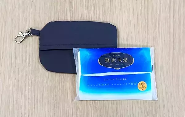 「小物をバッグに入れるのはやめました　スリコのポケットティッシュ＆小物ポーチで「整理できる」「片づけやすい」」の画像