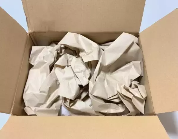 「捨てずに残った紙緩衝材　折り方1つでキッチン用『簡易ゴミ袋』に使える！【4選】」の画像