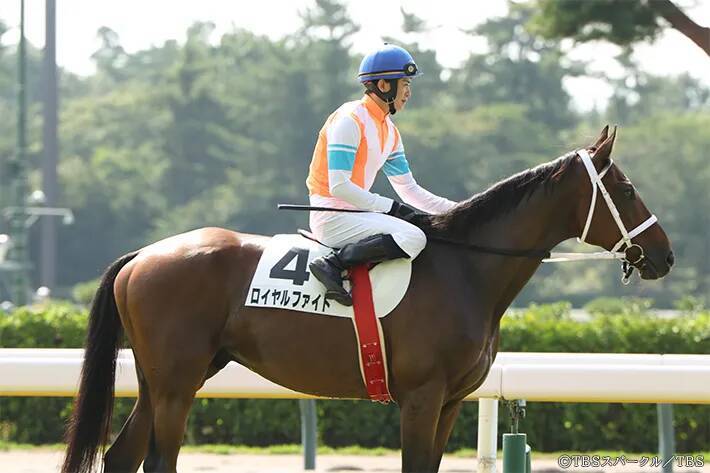 ドラマ好きは日曜劇場の初回をどう見た魅力あふれる人と馬　『ザ・ロイヤルファミリー』第1話