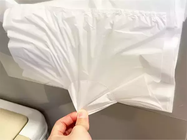 「1分で完成！　余ったクリアファイルを「サッと取り出せる」ビニール袋収納に変える裏ワザ」の画像