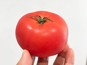 そうめんの食べ方に「これはウマい！」　トマトを冷凍しておけば…？