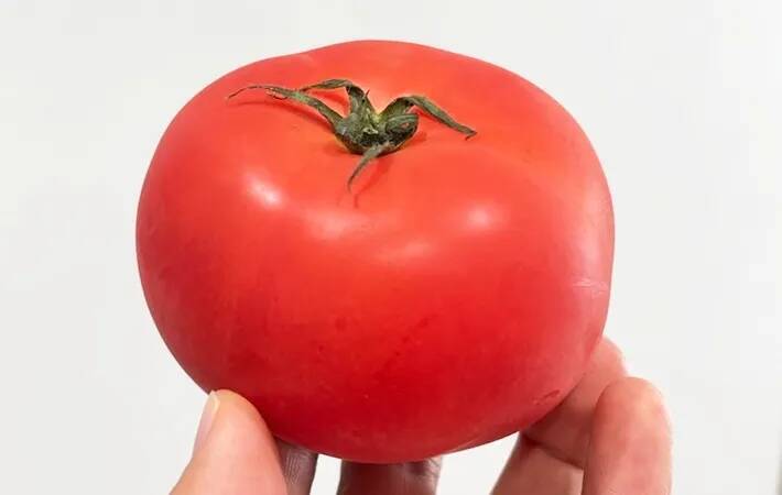 トマトを丸ごと『カチカチに凍らせる』と…？　そうめんが激変する裏技に「かき氷みたいで最高」