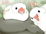 「言い争うスズメと文鳥　そこにやって来たのは…漫画にツッコミの声」の画像1