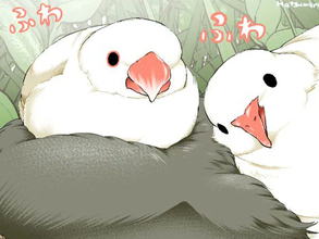 言い争うスズメと文鳥　そこにやって来たのは…漫画にツッコミの声