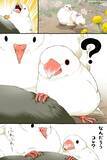「言い争うスズメと文鳥　そこにやって来たのは…漫画にツッコミの声」の画像2