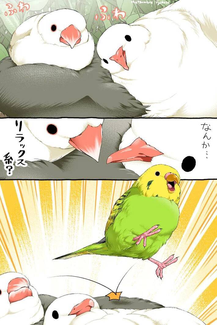 言い争うスズメと文鳥　そこにやって来たのは…漫画にツッコミの声