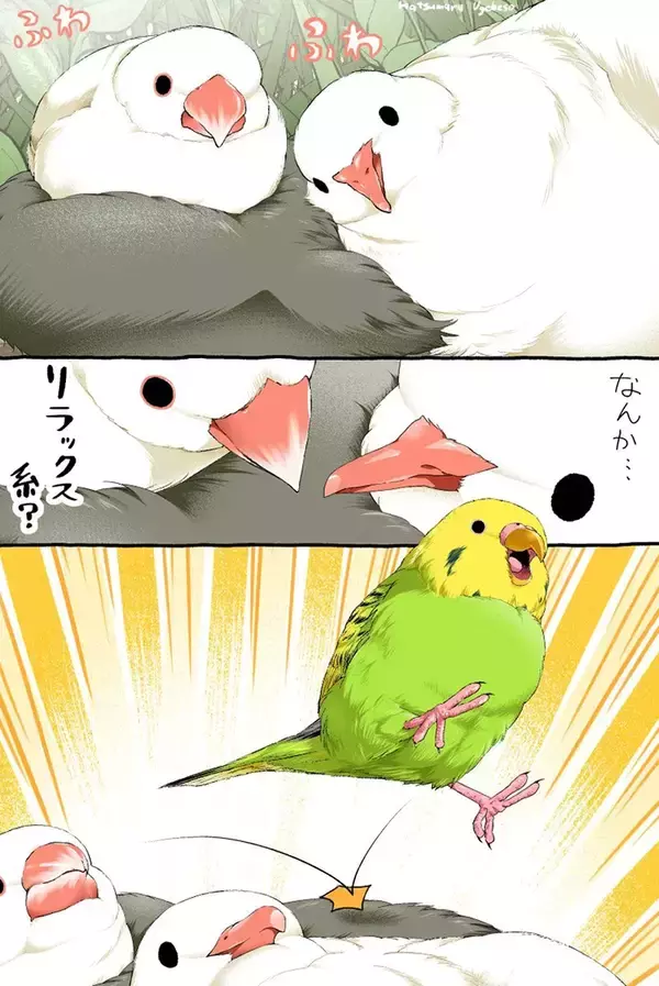 「言い争うスズメと文鳥　そこにやって来たのは…漫画にツッコミの声」の画像