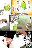 「言い争うスズメと文鳥　そこにやって来たのは…漫画にツッコミの声」の画像4