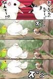 「言い争うスズメと文鳥　そこにやって来たのは…漫画にツッコミの声」の画像5