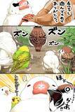 「言い争うスズメと文鳥　そこにやって来たのは…漫画にツッコミの声」の画像7