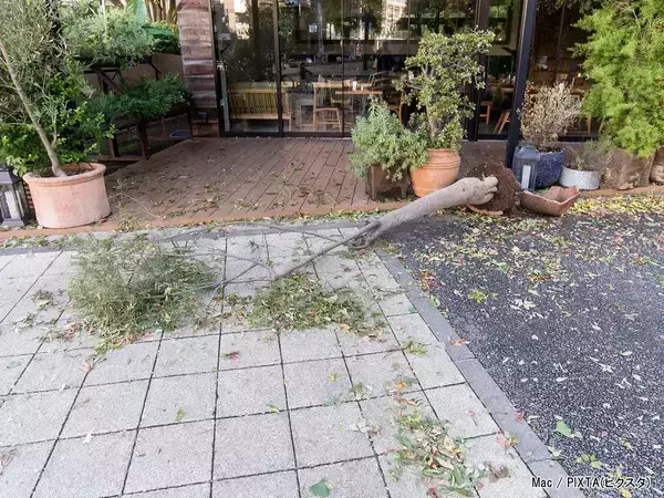 台風で隣の家の物が飛んできて愛車に傷…修理代は請求できる？　弁護士の回答は