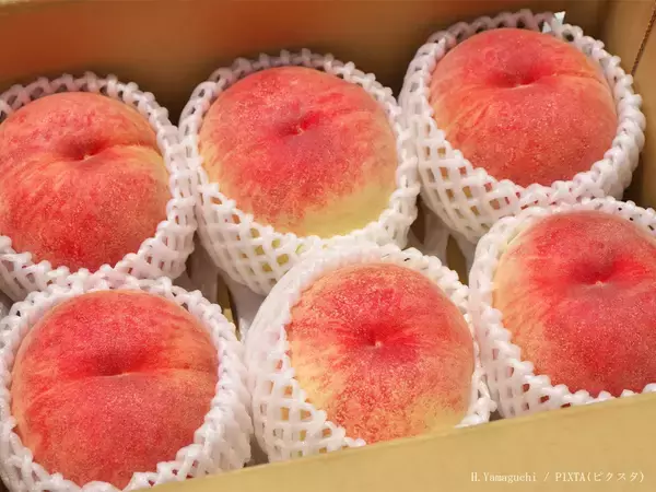 スーパーで買った桃、すぐに冷蔵庫に入れてOK？　青果店が教える“保存の正解”