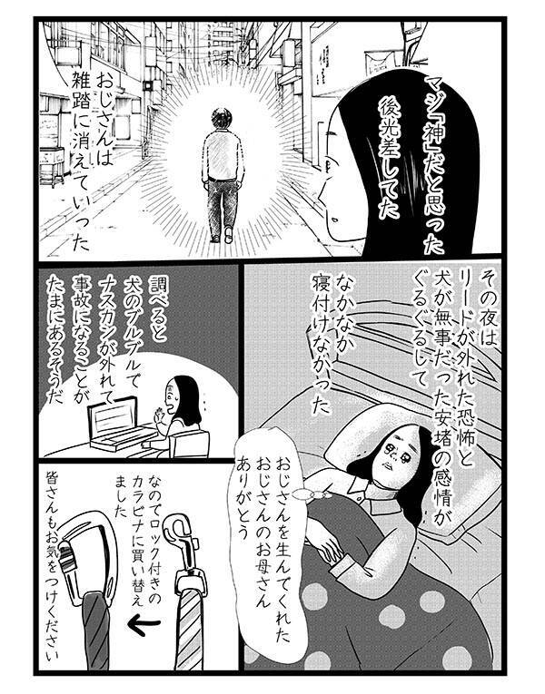 散歩中に柴犬が脱走 通りすがりの男性がとった行動に 素晴らしい 21年9月23日 エキサイトニュース